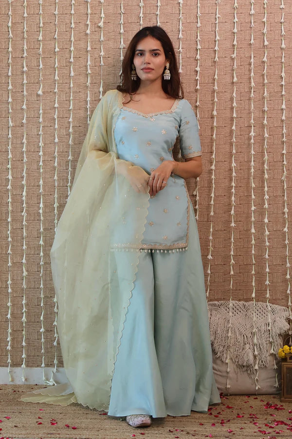 Powder Blue Embroidered Sharara Set