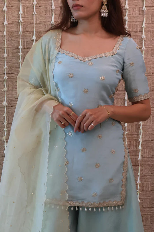 Powder Blue Embroidered Sharara Set